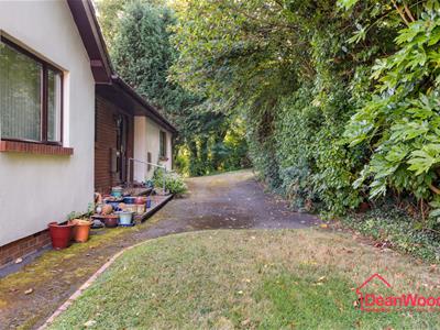 Picture 32